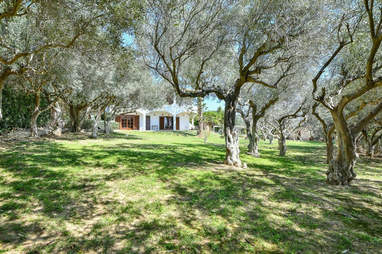 Light-Filled Home With Garden Near Beach Anavyssos Zewnętrze zdjęcie