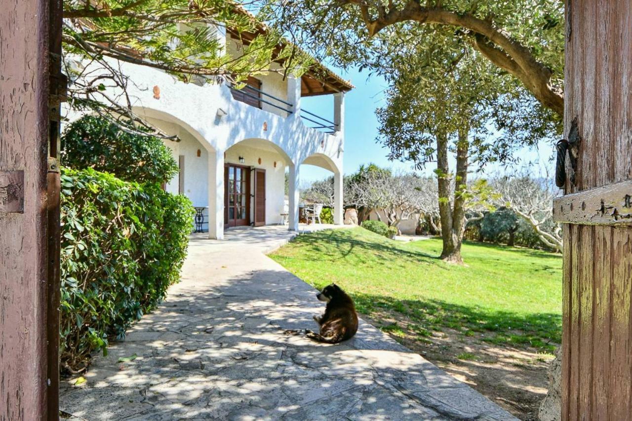 Light-Filled Home With Garden Near Beach Anavyssos Zewnętrze zdjęcie