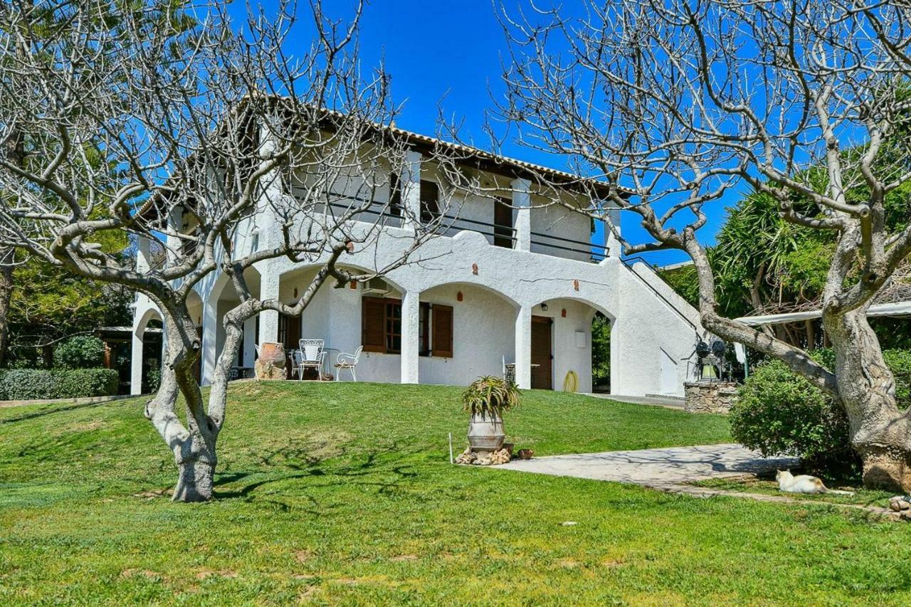 Light-Filled Home With Garden Near Beach Anavyssos Zewnętrze zdjęcie